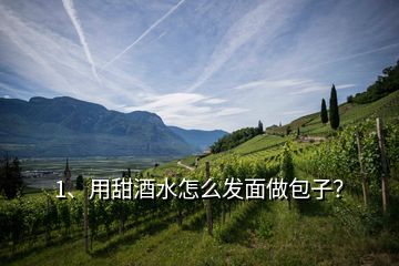 1、用甜酒水怎么發(fā)面做包子？