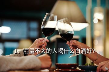 1、酒量不大的人喝什么白酒好？