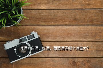 1、啤酒，白酒，紅酒，葡萄酒等哪個消量大？