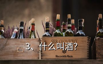 3、什么叫酒？