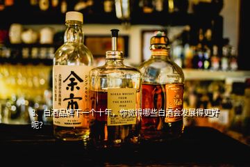 3、白酒品牌下一個(gè)十年，你覺得哪些白酒會(huì)發(fā)展得更好呢？