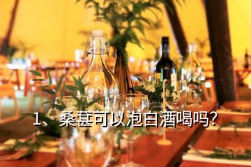 1、桑葚可以泡白酒喝嗎？