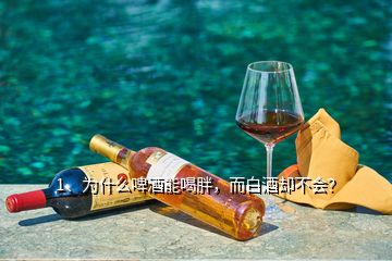 1、為什么啤酒能喝胖，而白酒卻不會？