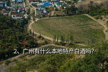 2、廣州有什么本地特產白酒嗎？