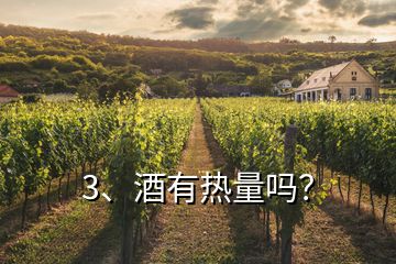 3、酒有熱量嗎？