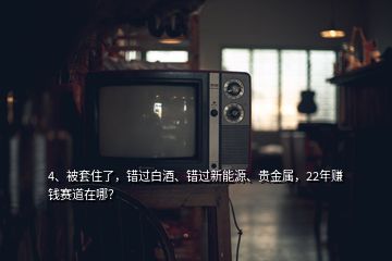 4、被套住了，錯過白酒、錯過新能源、貴金屬，22年賺錢賽道在哪？