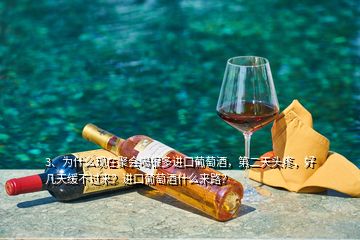 3、為什么現(xiàn)在聚會(huì)喝很多進(jìn)口葡萄酒，第二天頭疼，好幾天緩不過(guò)來(lái)？進(jìn)口葡萄酒什么來(lái)路？