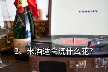 2、米酒適合澆什么花？