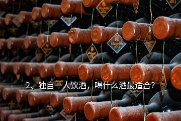 2、獨(dú)自一人飲酒，喝什么酒最適合？