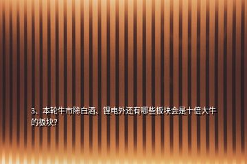 3、本輪牛市除白酒、鋰電外還有哪些板塊會(huì)是十倍大牛的板塊？