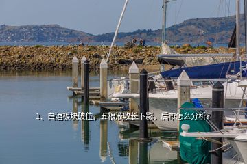 1、白酒板塊破位，五糧液收長下影，后市怎么分析？