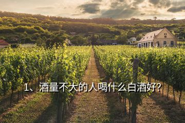 1、酒量不大的人喝什么白酒好？