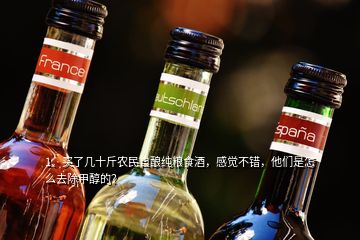 1、買了幾十斤農(nóng)民自釀純糧食酒，感覺不錯(cuò)，他們是怎么去除甲醇的？