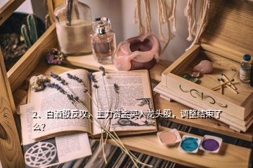 2、白酒股反攻，主力資金買入龍頭股，調(diào)整結(jié)束了么？