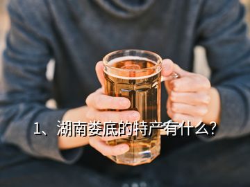 1、湖南婁底的特產(chǎn)有什么？