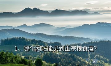 1、哪個(gè)網(wǎng)站能買(mǎi)到正宗糧食酒？