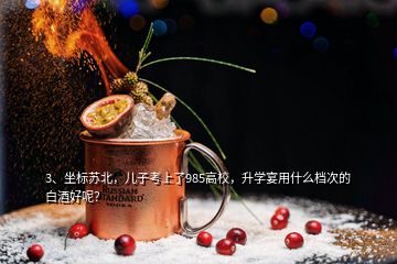 3、坐標(biāo)蘇北，兒子考上了985高校，升學(xué)宴用什么檔次的白酒好呢？