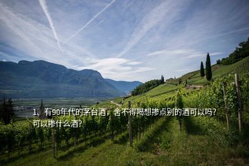 1、有90年代的茅臺酒，舍不得喝想摻點(diǎn)別的酒可以嗎？可以摻什么酒？