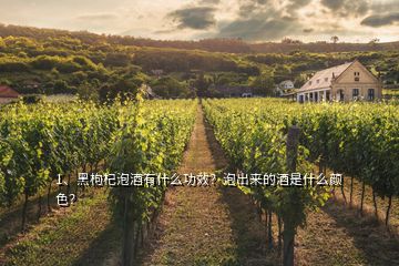 1、黑枸杞泡酒有什么功效？泡出來(lái)的酒是什么顏色？