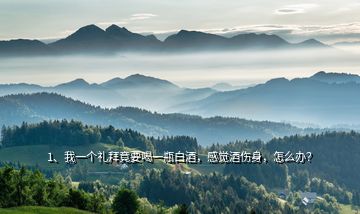 1、我一個(gè)禮拜竟要喝一瓶白酒，感覺酒傷身，怎么辦？