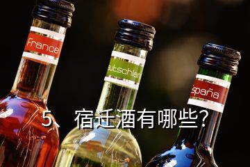 5、宿遷酒有哪些？