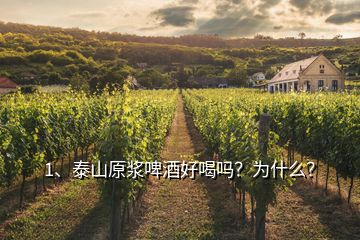 1、泰山原漿啤酒好喝嗎？為什么？