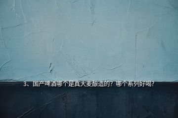 3、國產(chǎn)啤酒哪個是真大麥釀造的？哪個系列好喝？