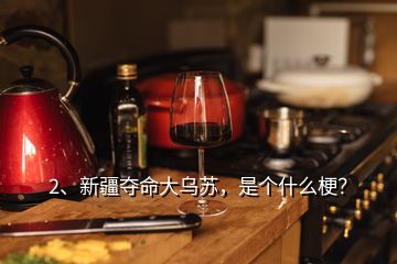 2、新疆奪命大烏蘇，是個什么梗？