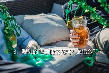 3、喝剩的啤酒能澆花嗎？靠譜么？