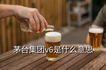 茅臺(tái)集團(tuán)v6是什么意思