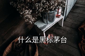 什么是黑標茅臺