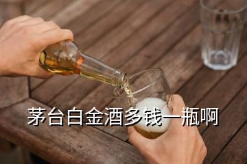 茅臺白金酒多錢一瓶啊