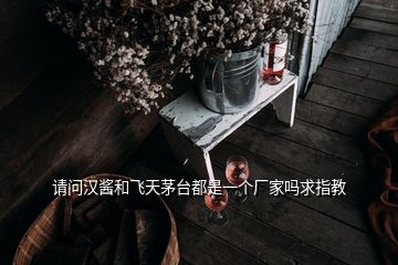 請問漢醬和飛天茅臺都是一個廠家嗎求指教