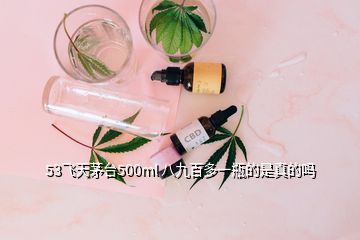 53飛天茅臺(tái)500ml 八九百多一瓶的是真的嗎