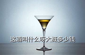 這酒叫什么呀大概多少錢