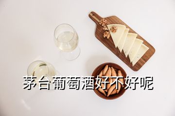 茅臺(tái)葡萄酒好不好呢