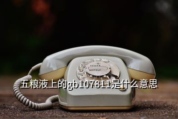 五糧液上的gb107811是什么意思