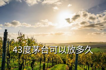 43度茅臺可以放多久