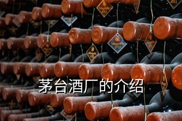 茅臺(tái)酒廠的介紹