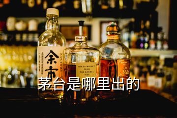 茅臺(tái)是哪里出的