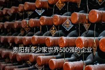 貴陽有多少家世界500強(qiáng)的企業(yè)