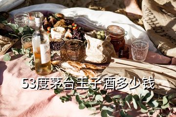 53度茅臺(tái)王子酒多少錢