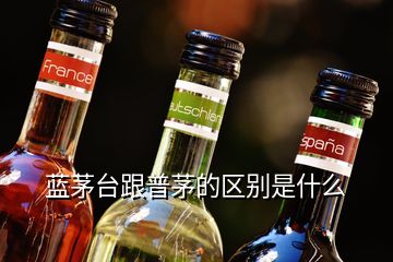 藍茅臺跟普茅的區(qū)別是什么