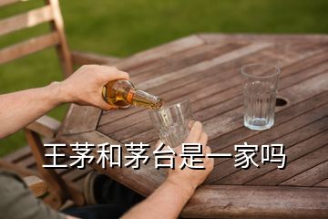 王茅和茅臺(tái)是一家嗎