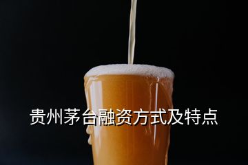 貴州茅臺融資方式及特點(diǎn)