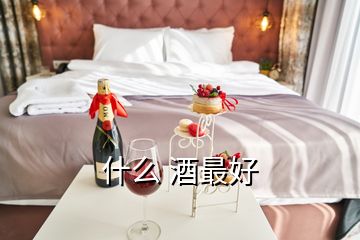 什么 酒最好