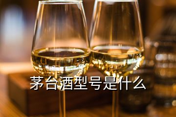 茅臺酒型號是什么