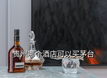 貴州哪個(gè)酒店可以買茅臺(tái)