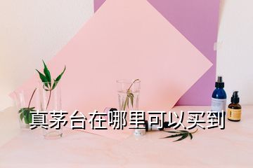 真茅臺(tái)在哪里可以買到
