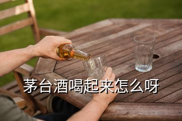 茅臺酒喝起來怎么呀